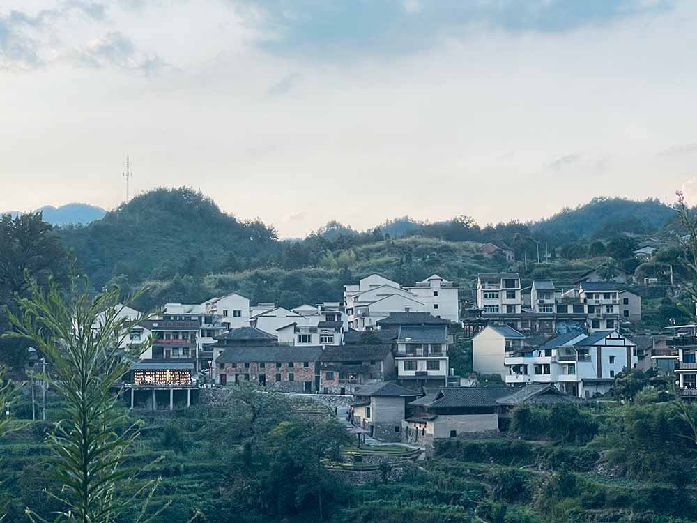 暑期社會實踐·大學生助力鄉(xiāng)村米酒，把酒賣到“云上”去