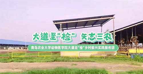 大道至簡，三農情牽：青島農業(yè)大學動物醫(yī)學院鄉(xiāng)村振興實踐服務團走訪養(yǎng)殖天地