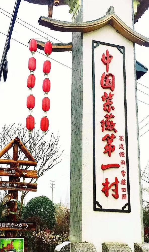 “新路”、“興路”、“心路”——以陳家渡村為例探討產(chǎn)業(yè)轉(zhuǎn)型推動鄉(xiāng)村振興