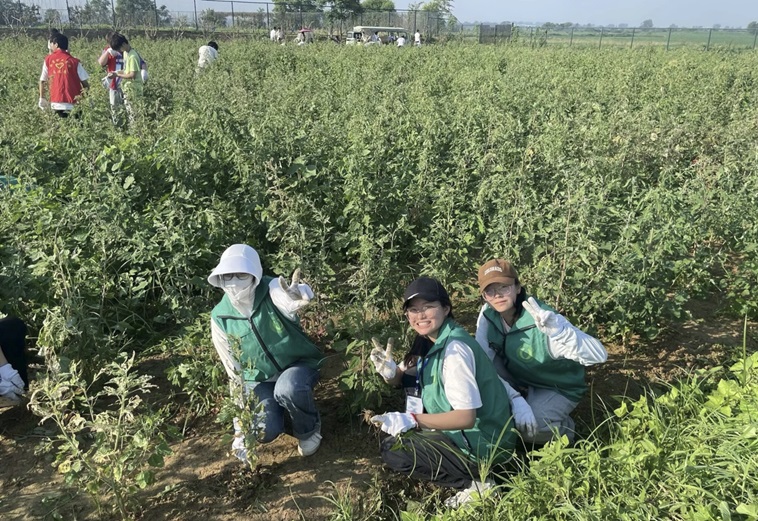 用青春熱血探興，為非遺傳承貢獻力量