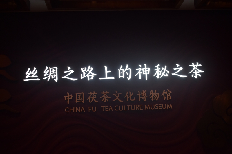尋根茯茶古韻 助力鄉(xiāng)村新夢——陜工學(xué)子暑期三下鄉(xiāng)