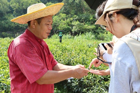 佛山科學(xué)技術(shù)學(xué)院學(xué)子三下鄉(xiāng)：走入連南茶園，助力民族發(fā)展
