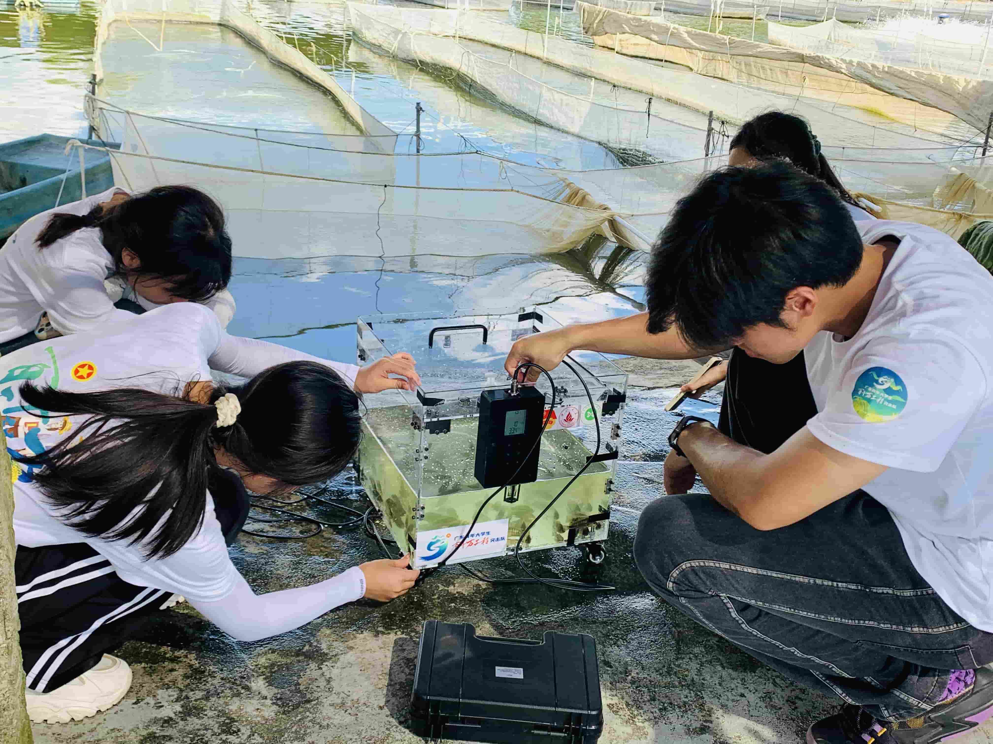 智慧漁業(yè)助力鄉(xiāng)村振興：佛山大學實踐團創(chuàng)新羅非魚苗運輸技術(shù)