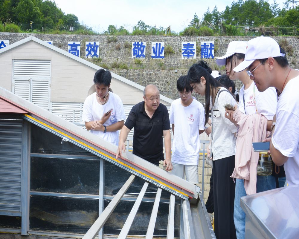 供水調(diào)研促發(fā)展，民生保障惠萬(wàn)家—合肥大學(xué)“岳”動(dòng)青春，遇“踐”盛夏實(shí)踐