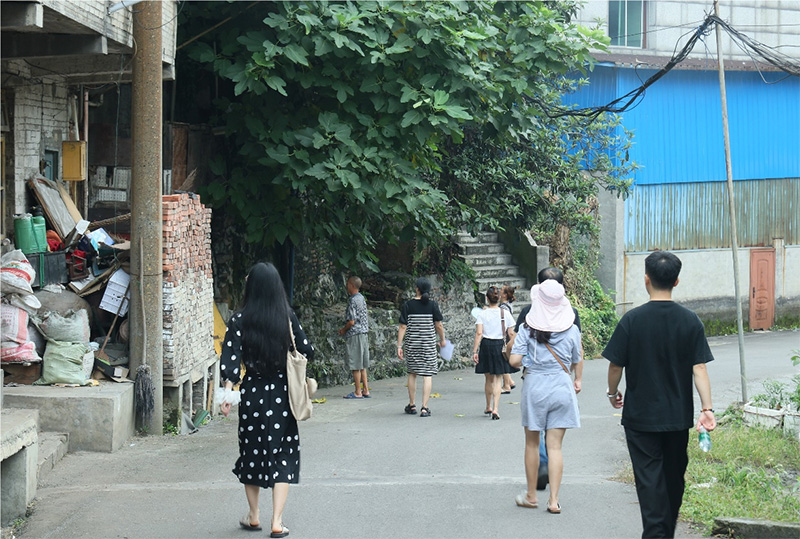 杉木樹下話振興，德田村頭繪新景——西財(cái)學(xué)子三下鄉(xiāng)調(diào)研紀(jì)實(shí)