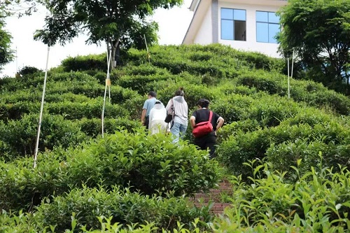 湘大學(xué)子：凝聚助農(nóng)力量，踐行擔(dān)當(dāng)精神