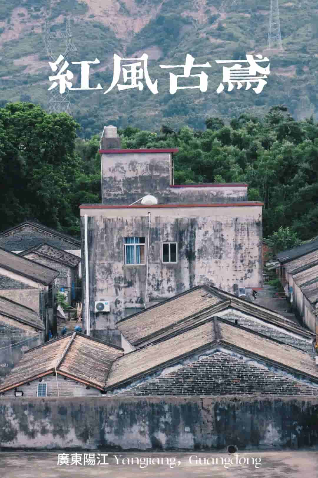佛科院學(xué)子三下鄉(xiāng)：“紅風(fēng)古鳶”實(shí)踐隊(duì)走訪鄉(xiāng)村衛(wèi)生院，深