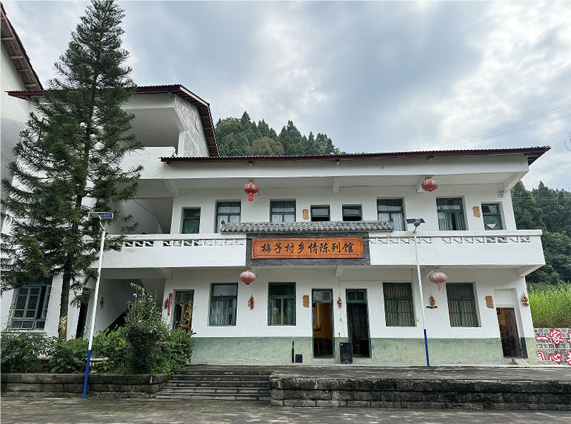苗鄉(xiāng)古韻潤心田，紅色黨建譜華章——重慶師范大學(xué)文學(xué)院“弘文·苗韻”社會實踐紀實