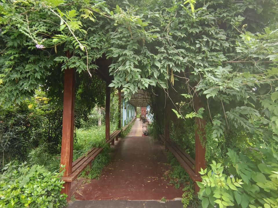"青春的奉獻(xiàn)：李順雨同學(xué)暑期支教夢(mèng)，點(diǎn)燃母校東方寄宿學(xué)校學(xué)子心"