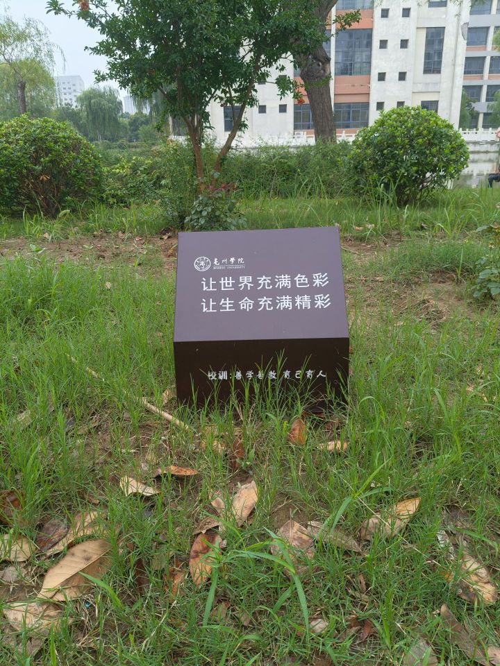 巢湖學院學子三下鄉(xiāng)實踐感悟：走不通的路，就用拳頭來打開