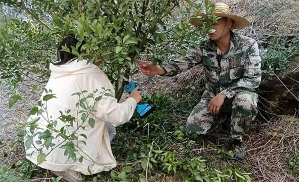 做好柑橘大文章，走好興業(yè)富民路