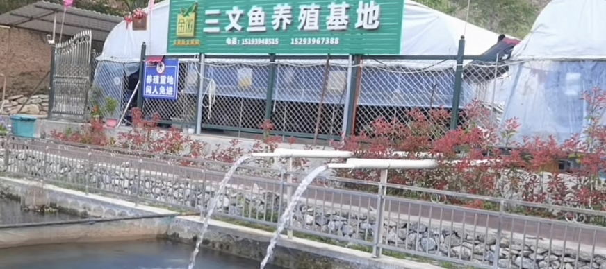 塑造甘南“特色品牌”，擴寬群眾增收大道。